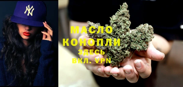 сатива Абинск