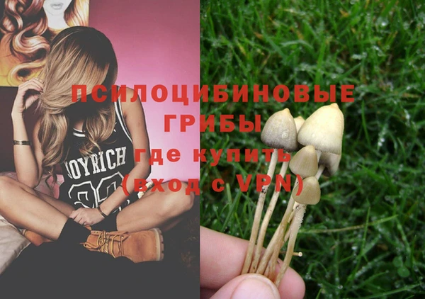мет Алексеевка