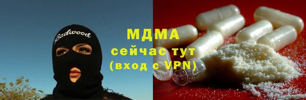 стаф Алексин