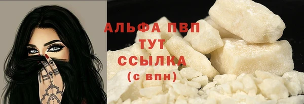 сатива Абинск