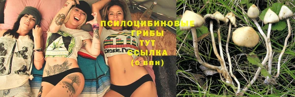 apvp Абаза