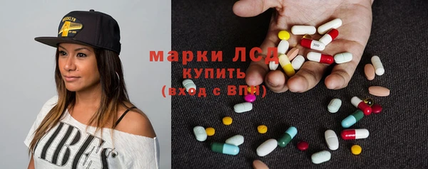 сатива Абинск