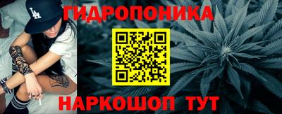 мяу мяу мука Кандалакша