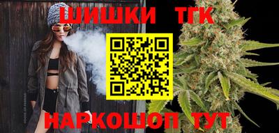 СК Новодвинск