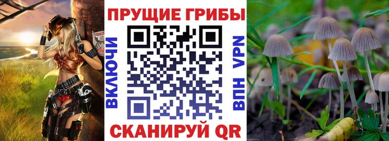 Псилоцибиновые грибы MAGIC MUSHROOMS  kraken как войти  Рассказово  купить наркоту 