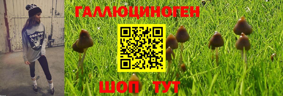 Галлюциногенные грибы Magic Shrooms Рассказово